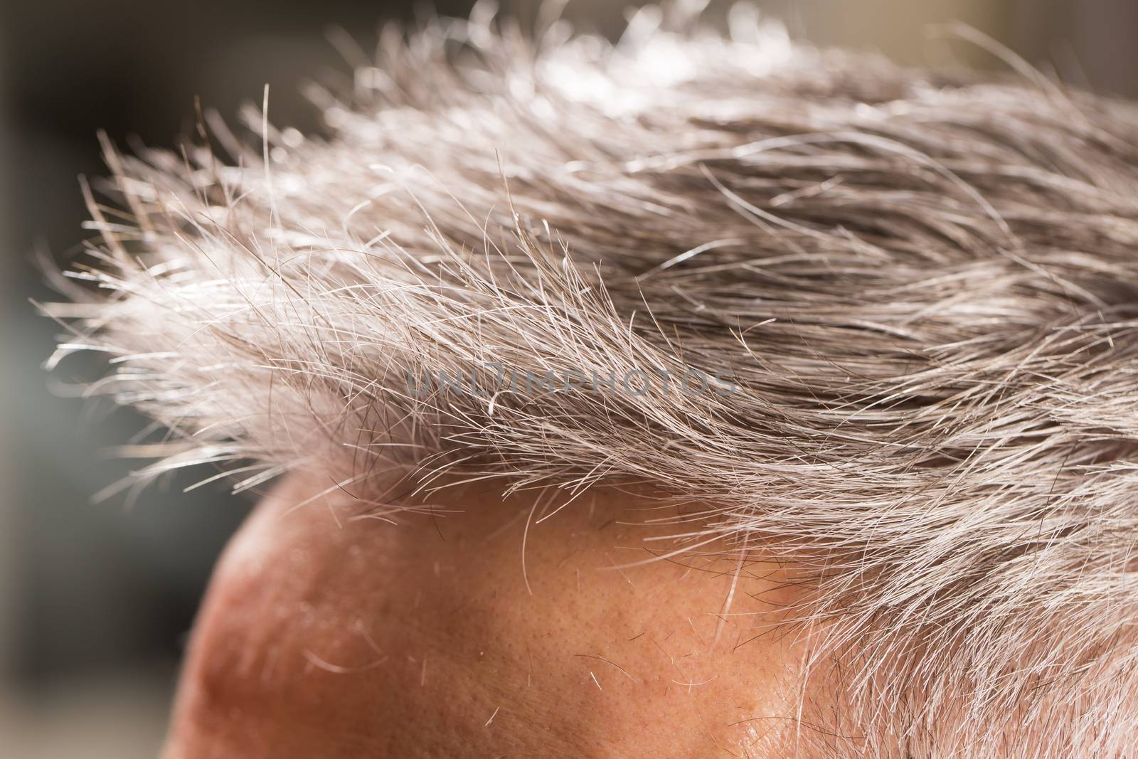 woman cuts hair with scissors, razor in  professional hairdressing salon