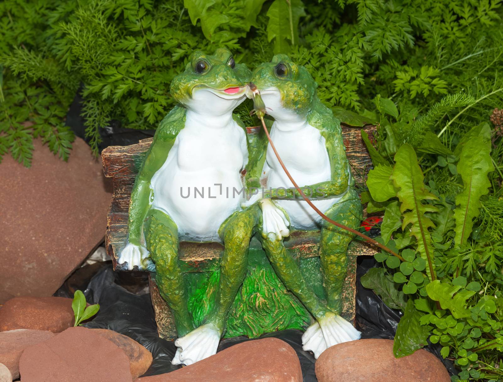 Two green ornament frog sitting on a bench near a stones in the tall grass