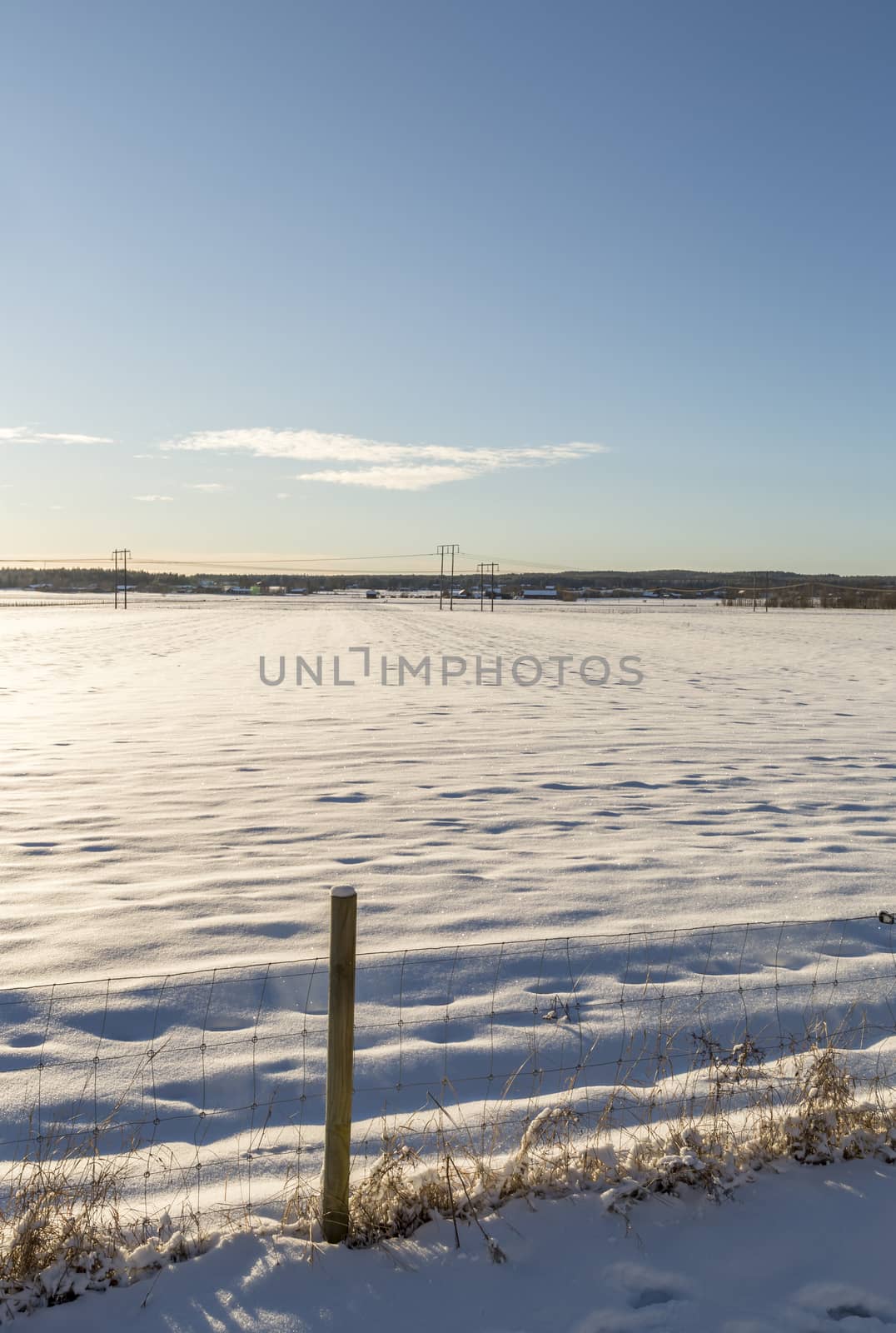 Winter Field in Umeå, Sweden with a mostly clear blue sky.
