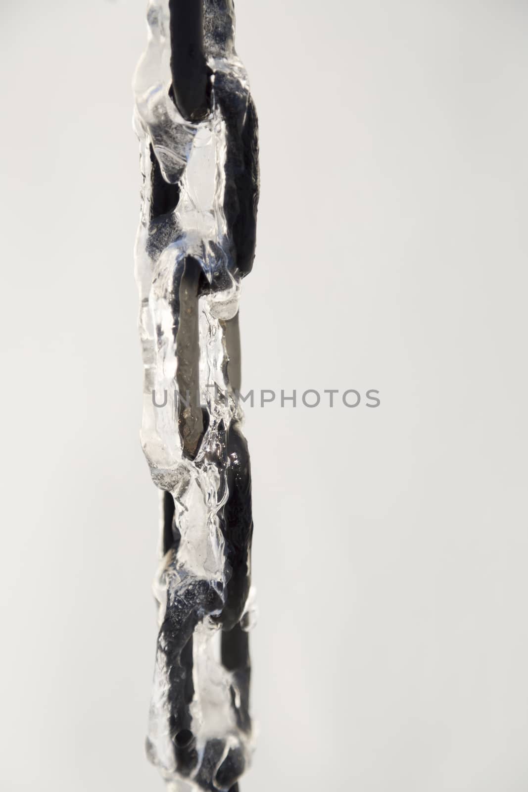Chain Covered in Ice with a white background.