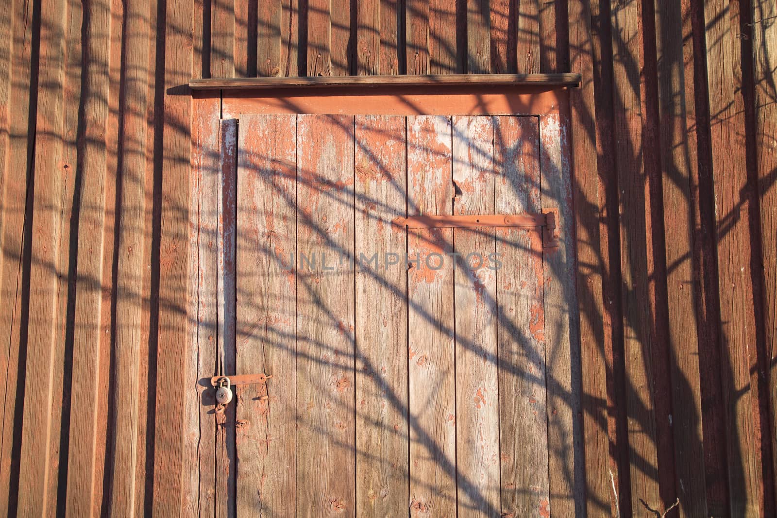 Red Door With Padlock and shadow of branches.