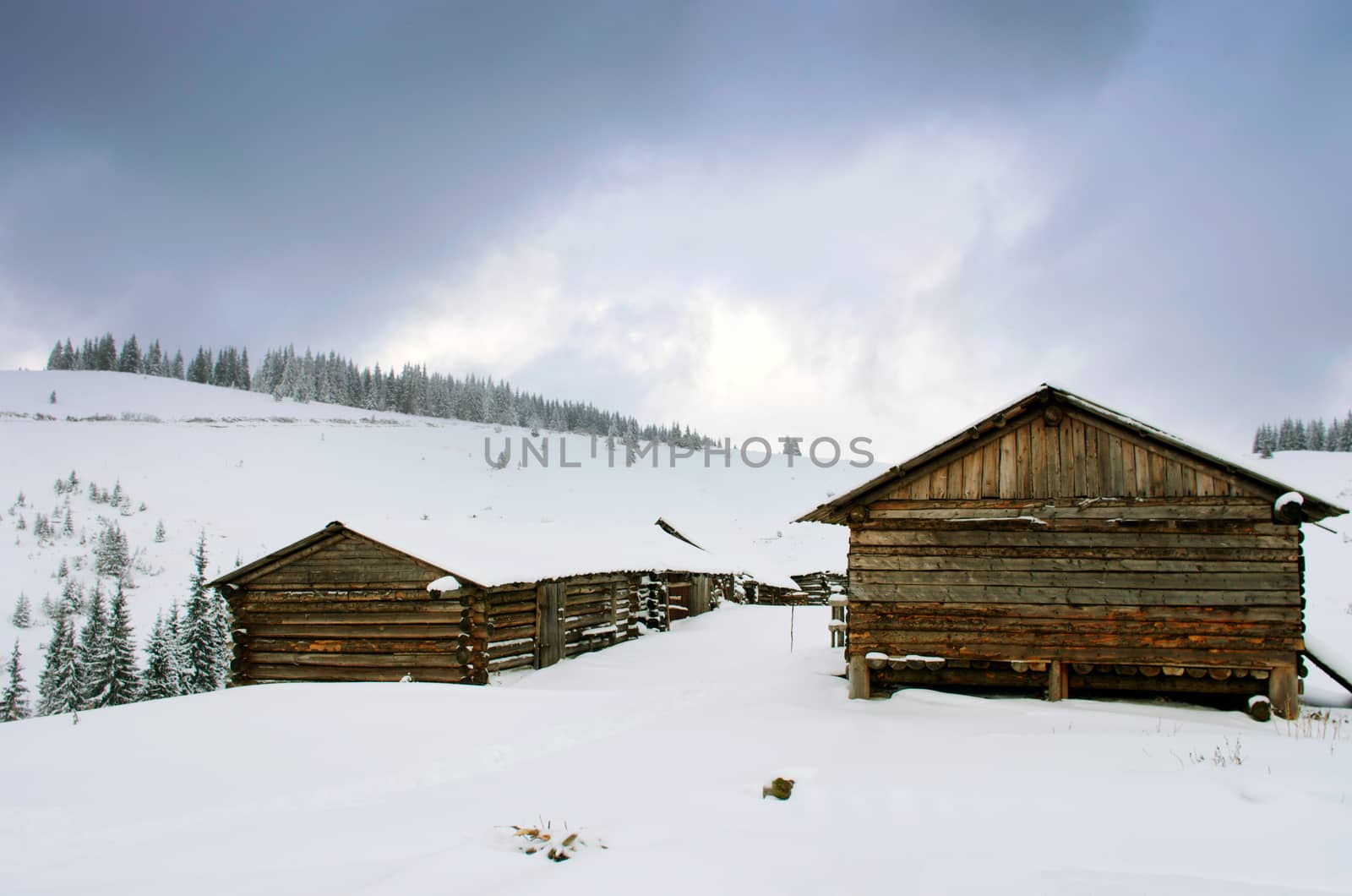 cabins in winter mountain in the evening by dolnikow