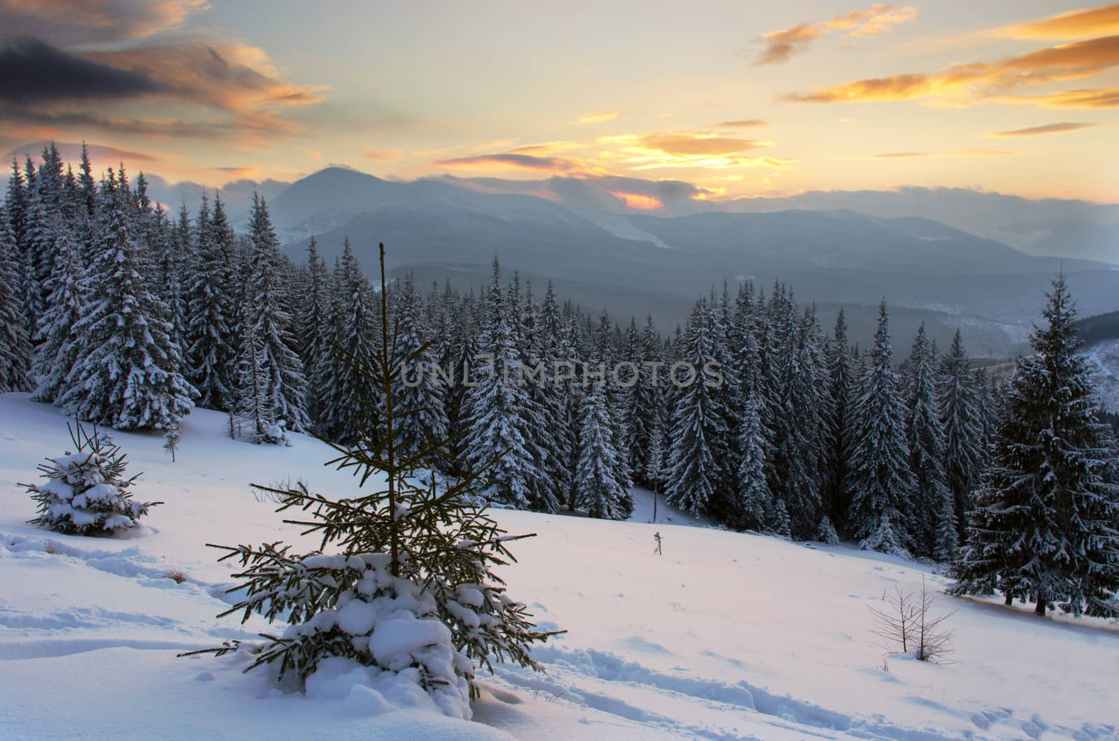 Majestic winter landscape glowing by sunlight in the morning. Dr by dolnikow