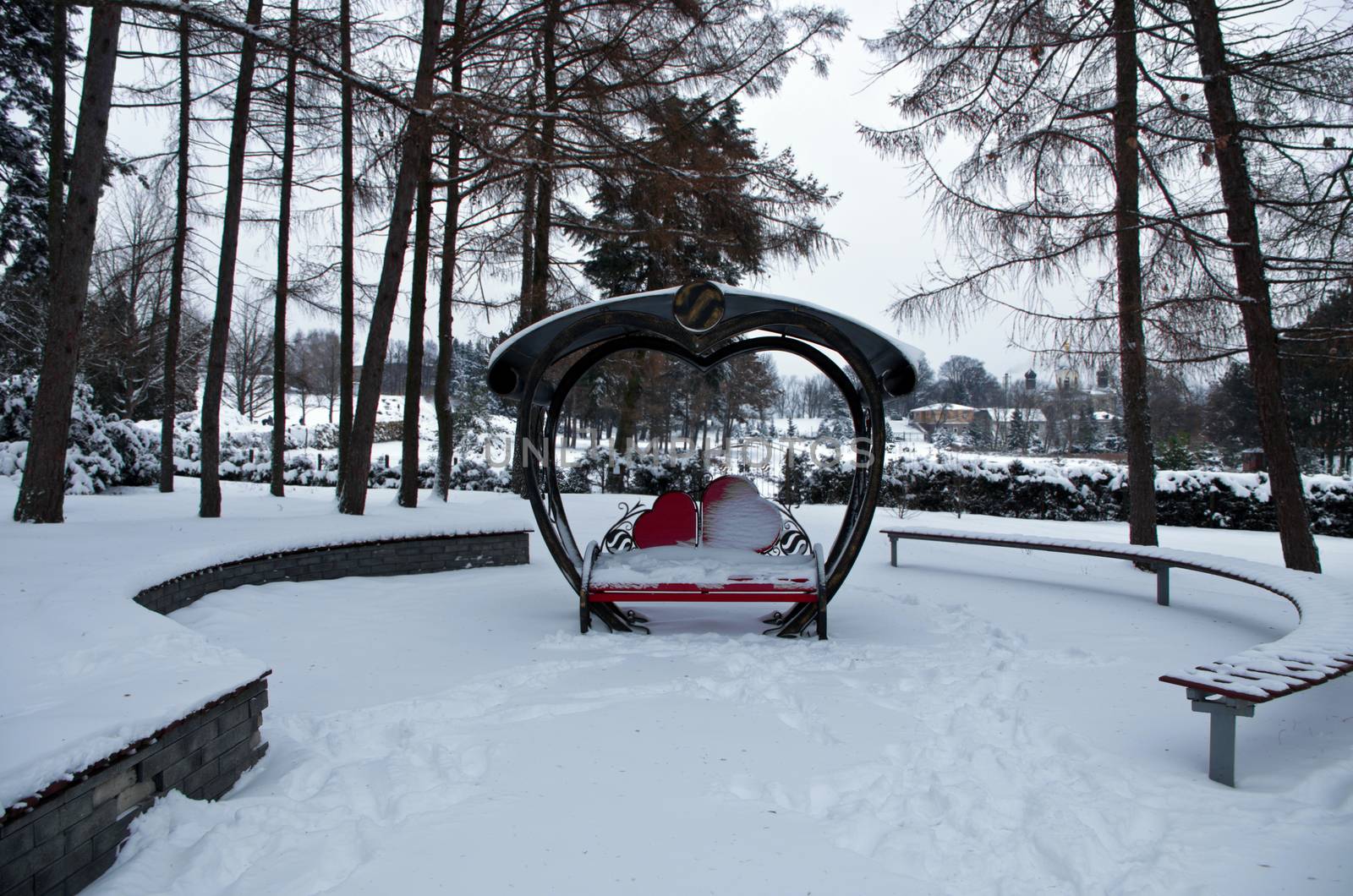 snowy winter in the garden