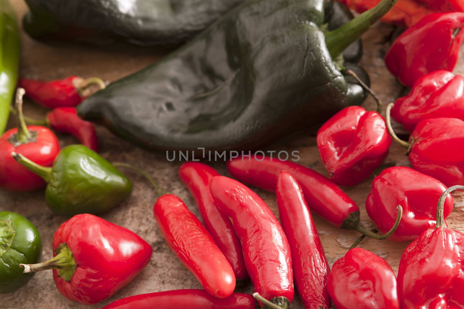 Assorted varieties of chili peppers by stockarch