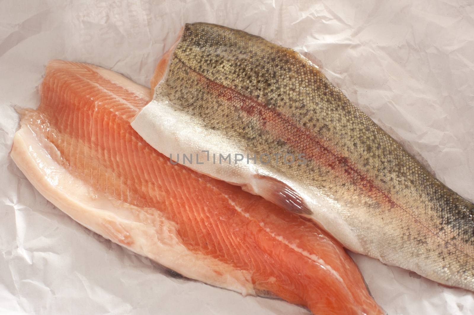Two fresh rainbow trout fillets, one flesh side up and one skin side up, on greaseproof paper ready to be cooked for a healthy seafood dinner