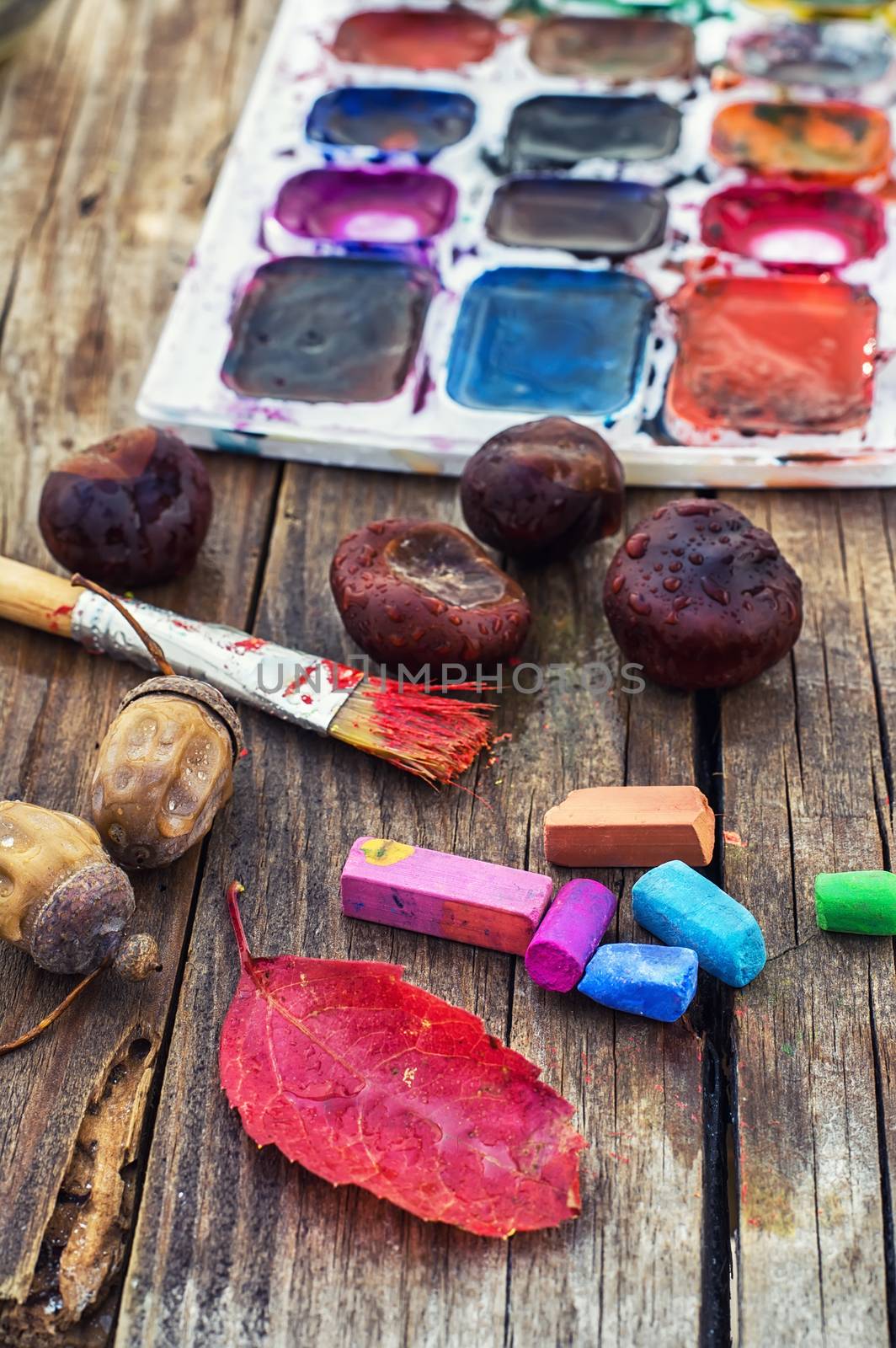 set of different paint colors and  brush for painting on wooden background in the autumn style