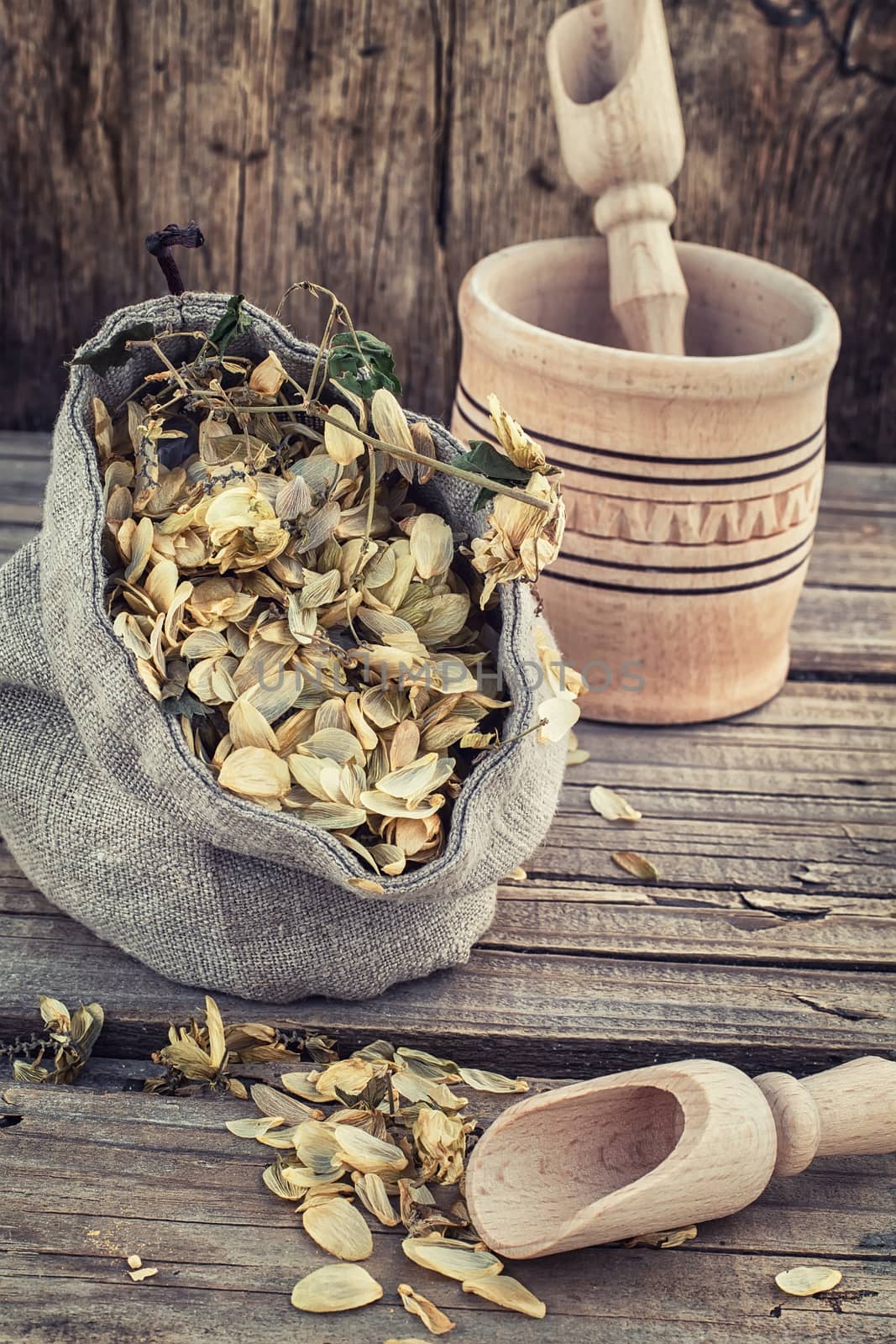 bag of harvest of dried hop cones in  rustic style on wooden background