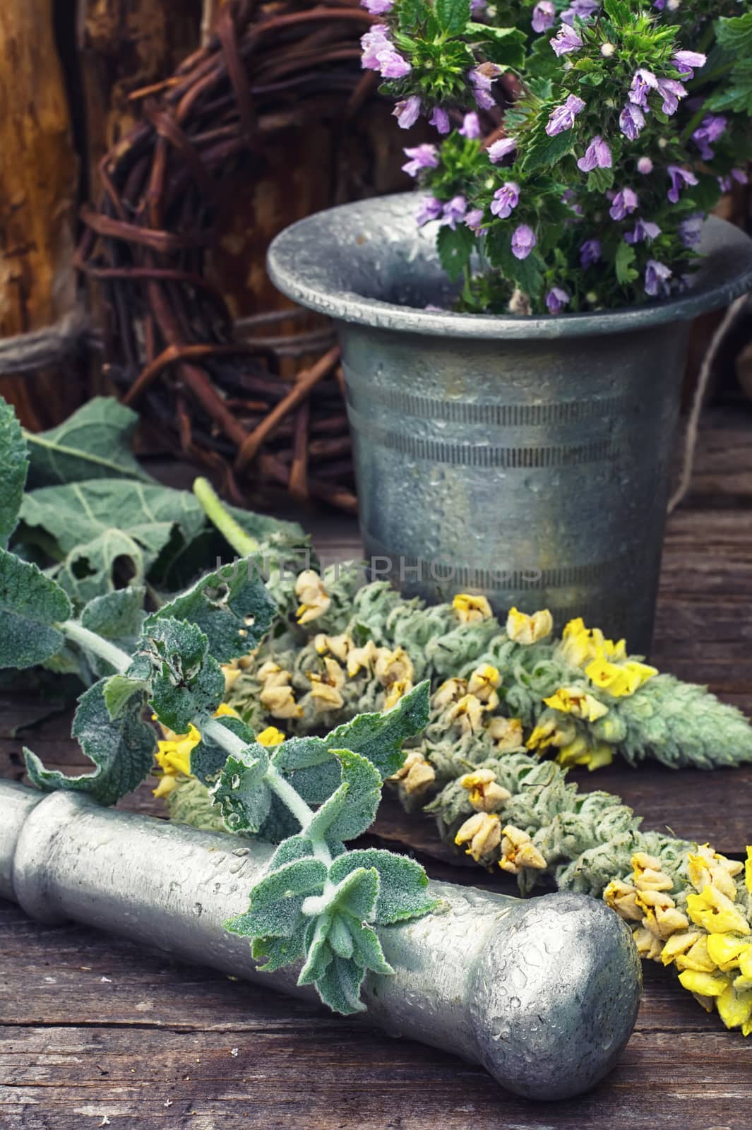 Cut  bunch medicinal plants,mortar on wooden table.Toned.