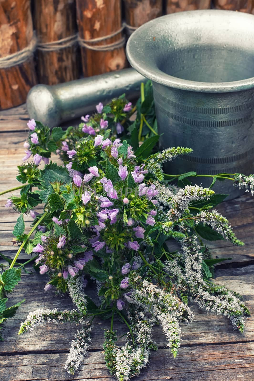 Cut  bunch medicinal plants,mortar on wooden table.Toned.