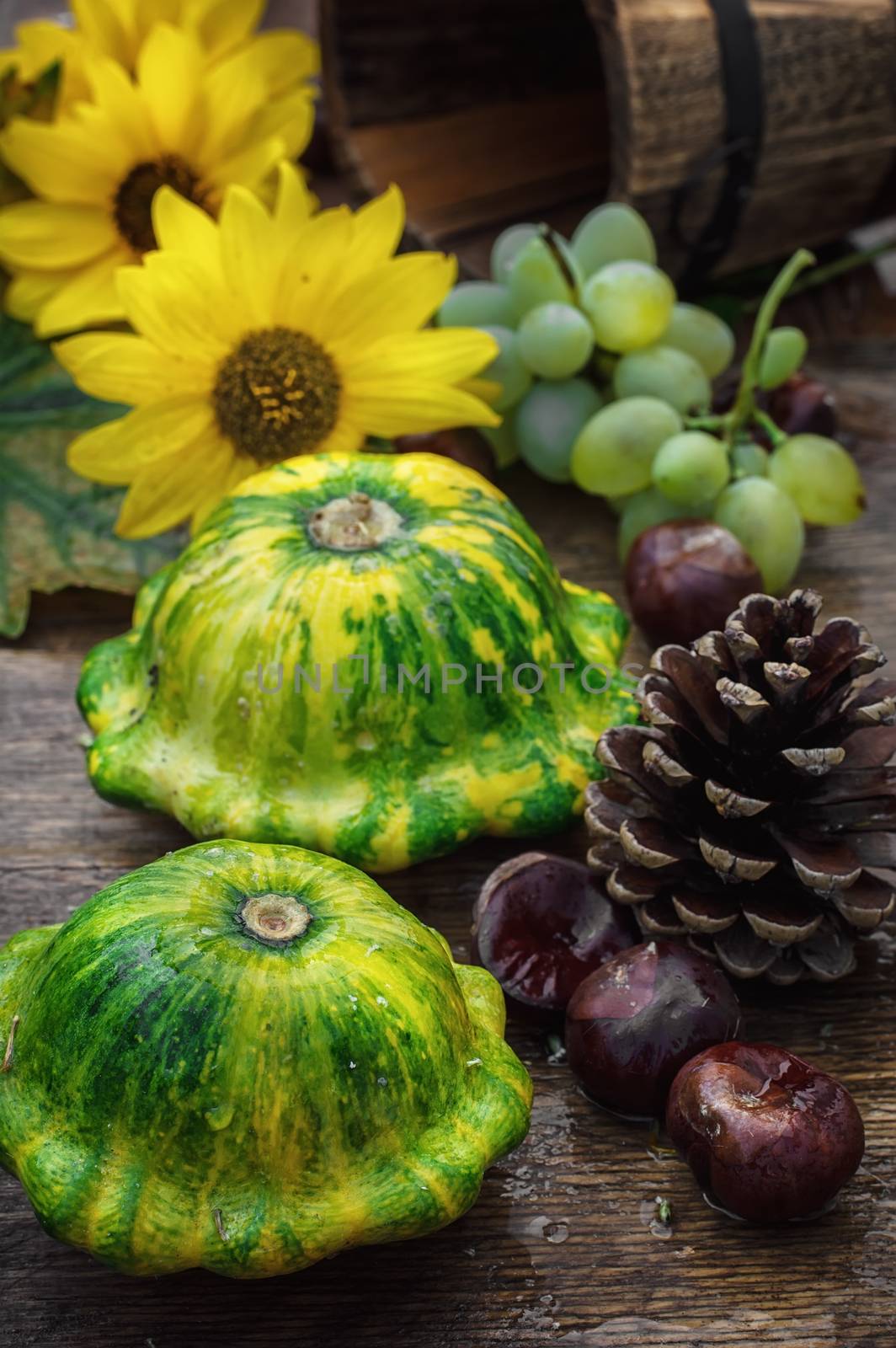 harvest squash on the background of the autumn of attributes in rustic style