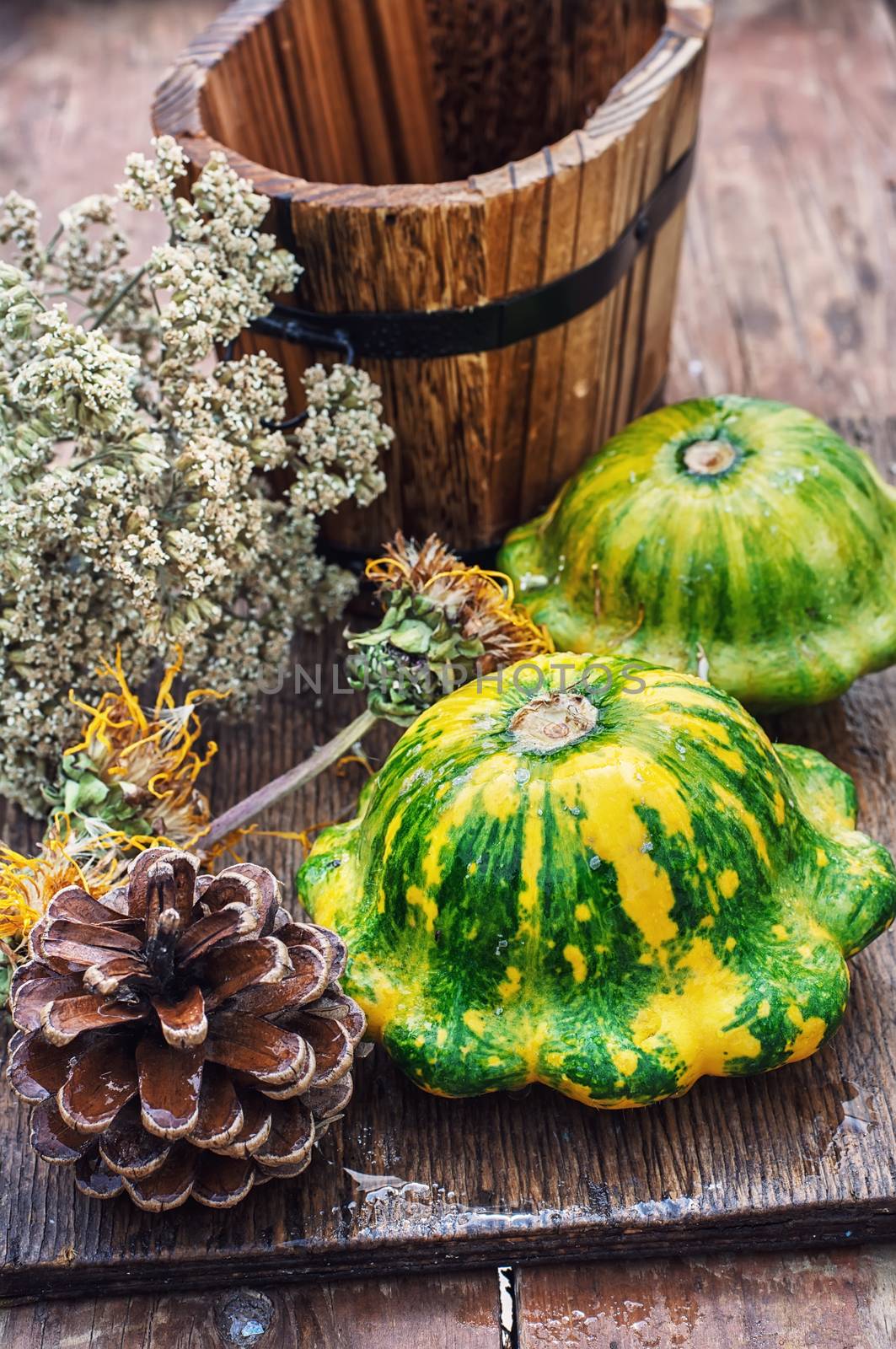 harvest squash on the background of the autumn of attributes in rustic style