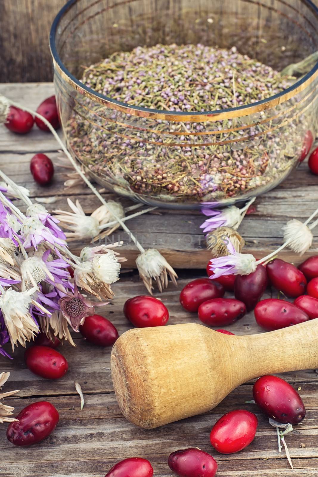 scattered medicinal Cornel berries and bowl of seeds of Heather on wooden table