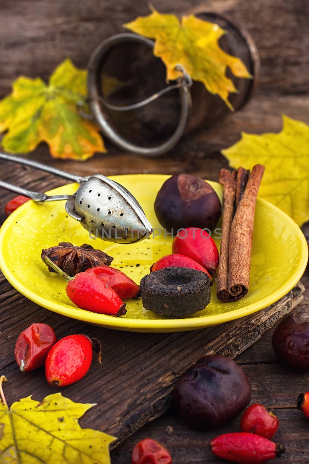 Dogrose berries and maple autumn leaves against the yellow saucer