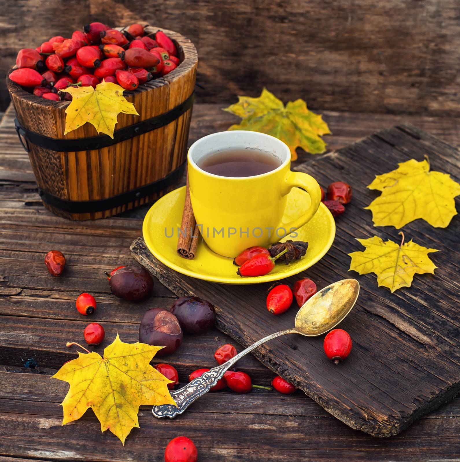 Dogrose berries and maple autumn leaves against the yellow saucer