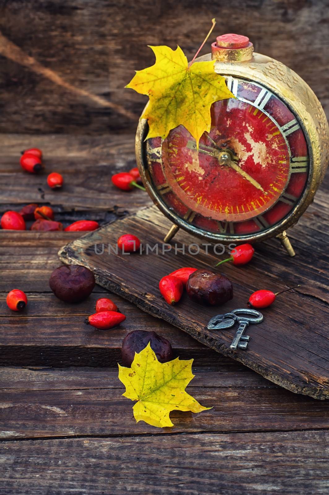 retro alarm clock with dial with arabic numerals on a background with maple leaves and wild roses