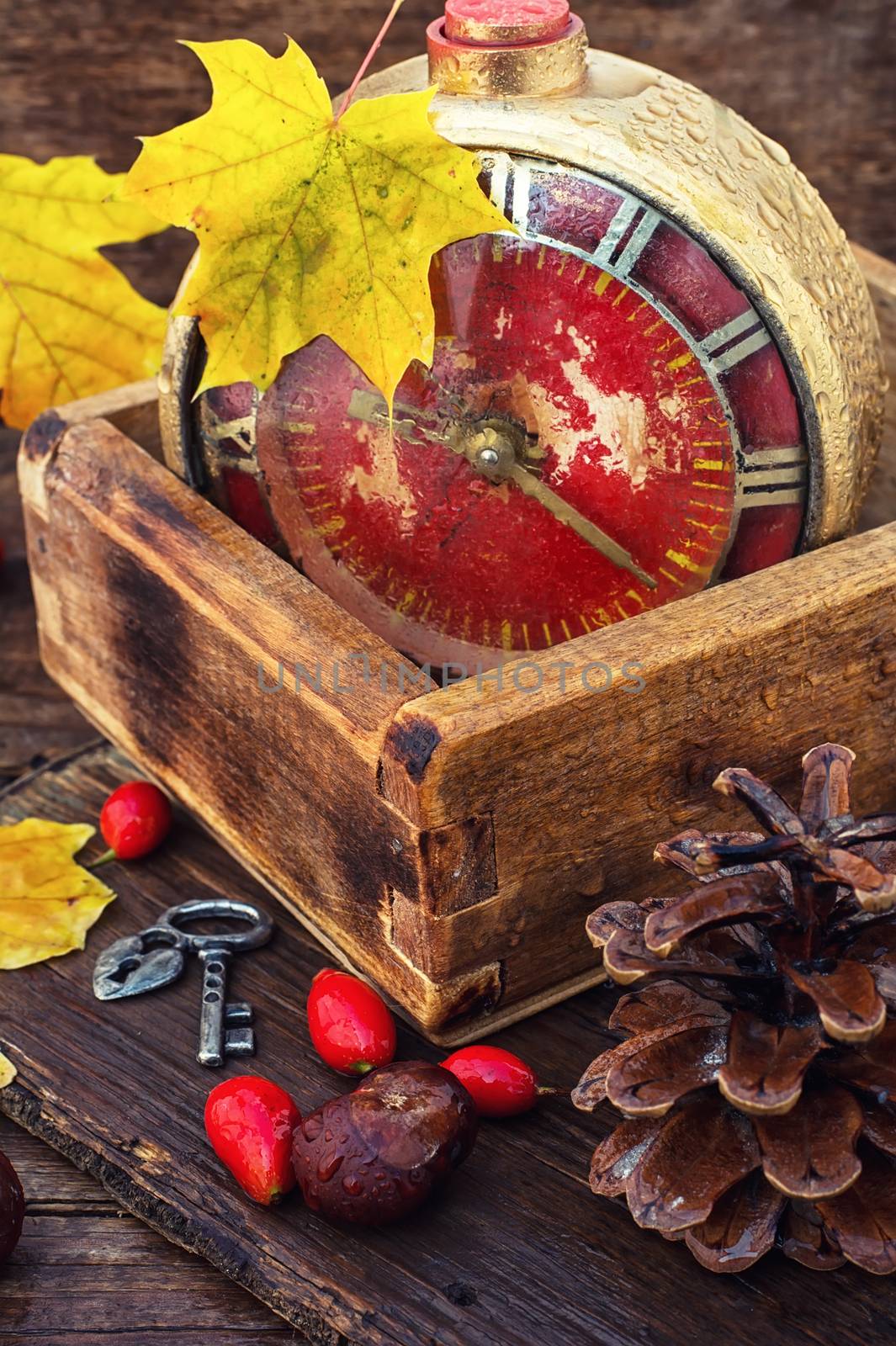 old clock stuck on fallen maple leaf in autumn style