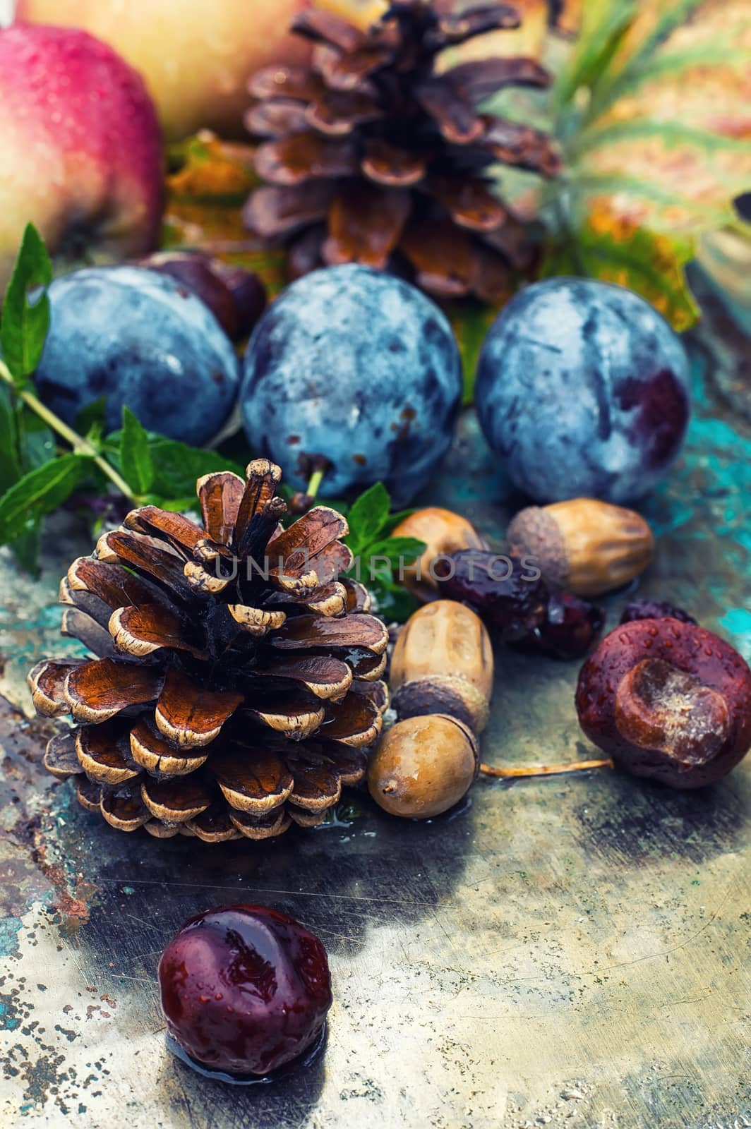 Empty autumn pinecone,acorns and chestnuts on metal surface