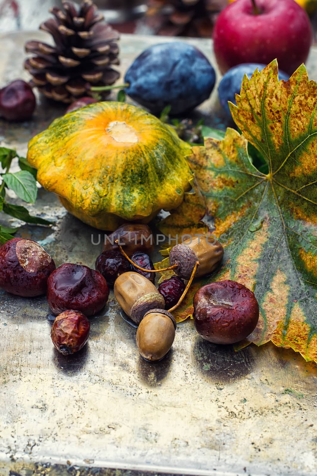 Empty autumn pinecone,acorns and chestnuts on metal surface