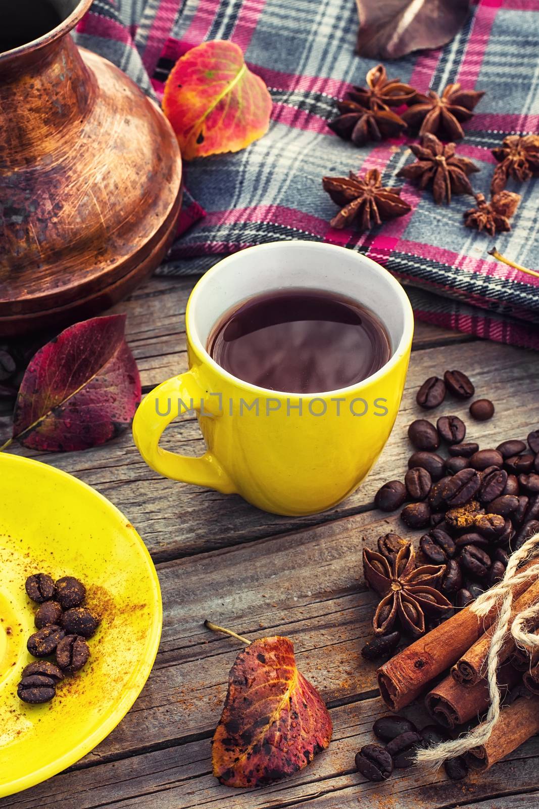 Coffee in the fall by LMykola