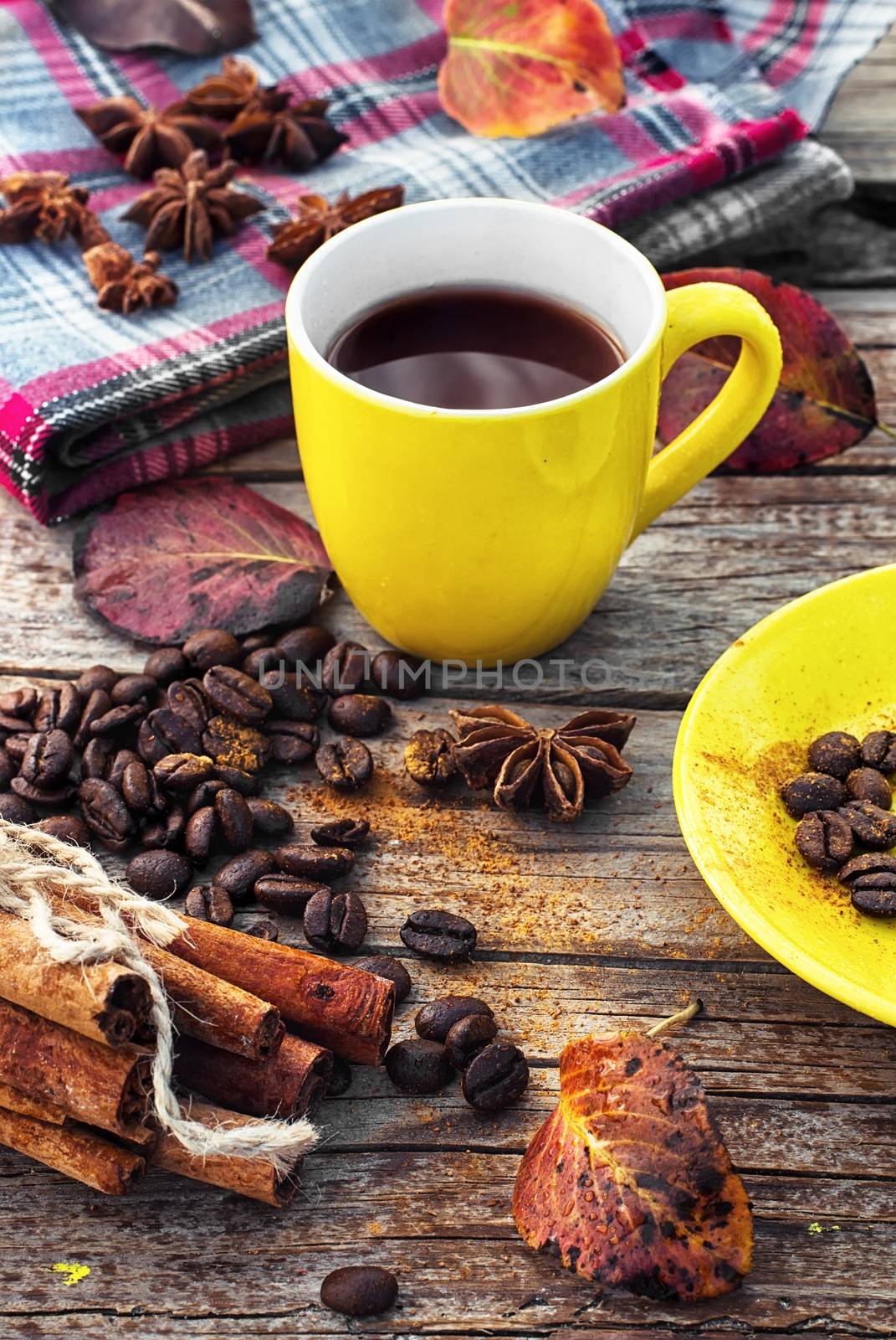 Coffee in the fall by LMykola