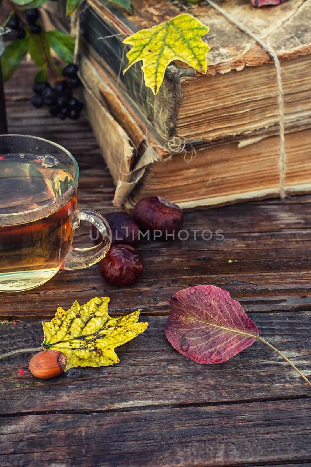 Cup of herbal tea amid the bundles of old books in the autumn style