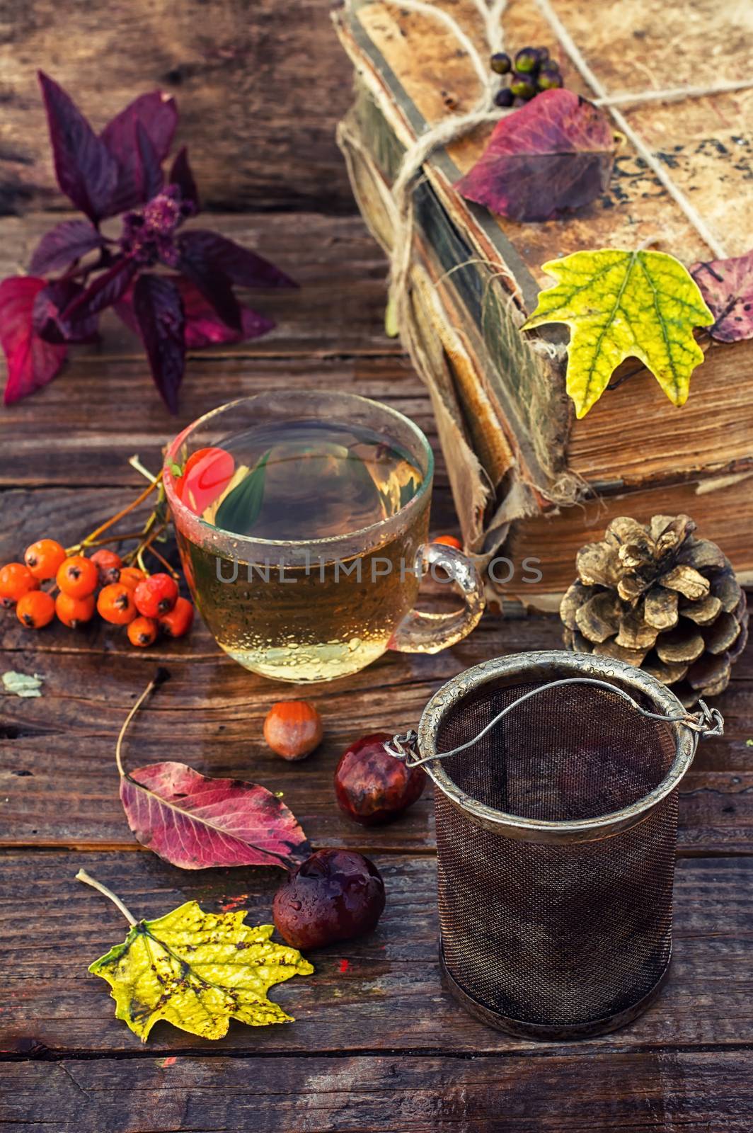 Cup of herbal tea amid the bundles of old books in the autumn style