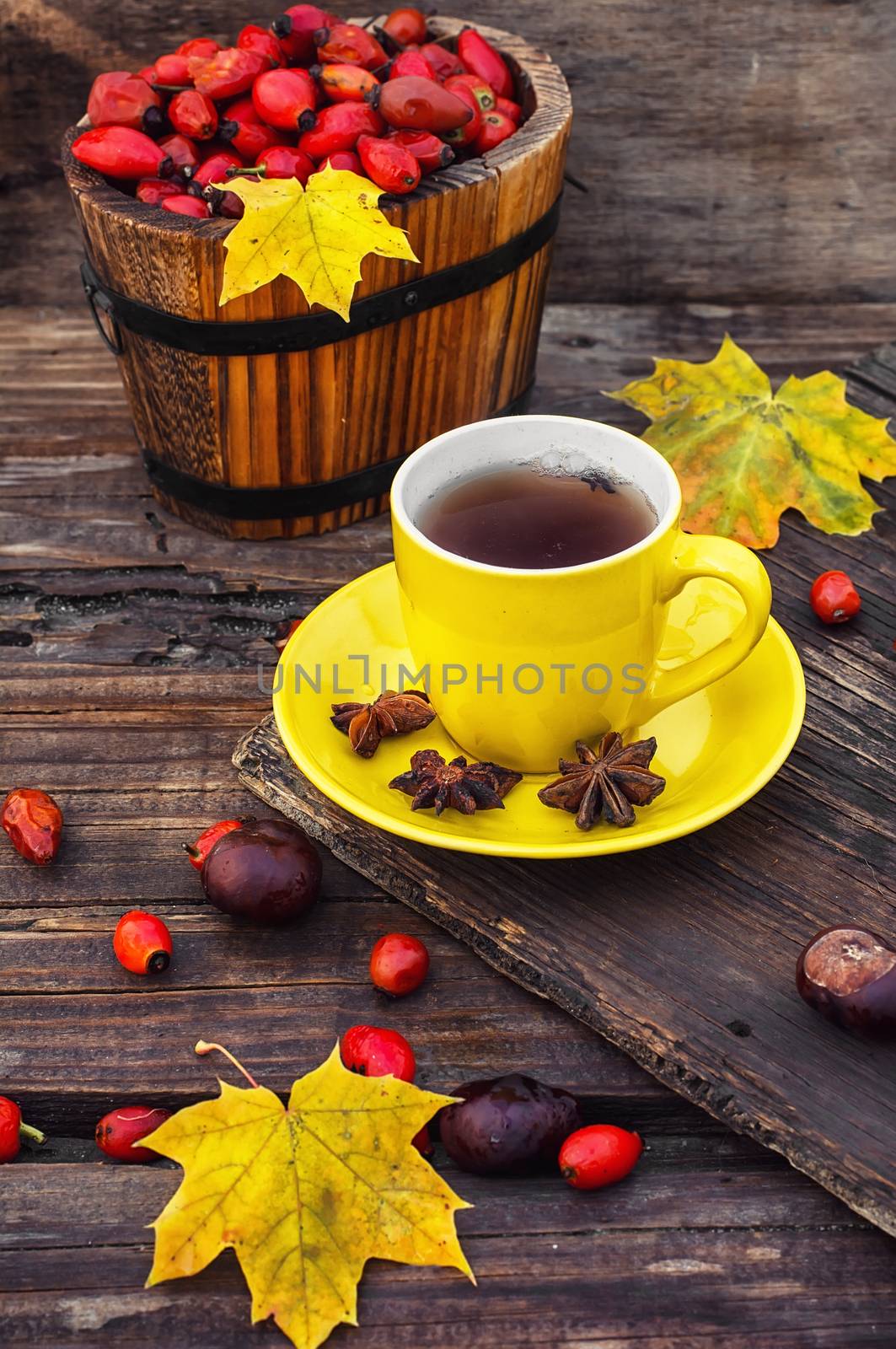 Yellow cup with tea,brewed in the tea with fruits berries of dog-rose on background of leaves and chestnuts