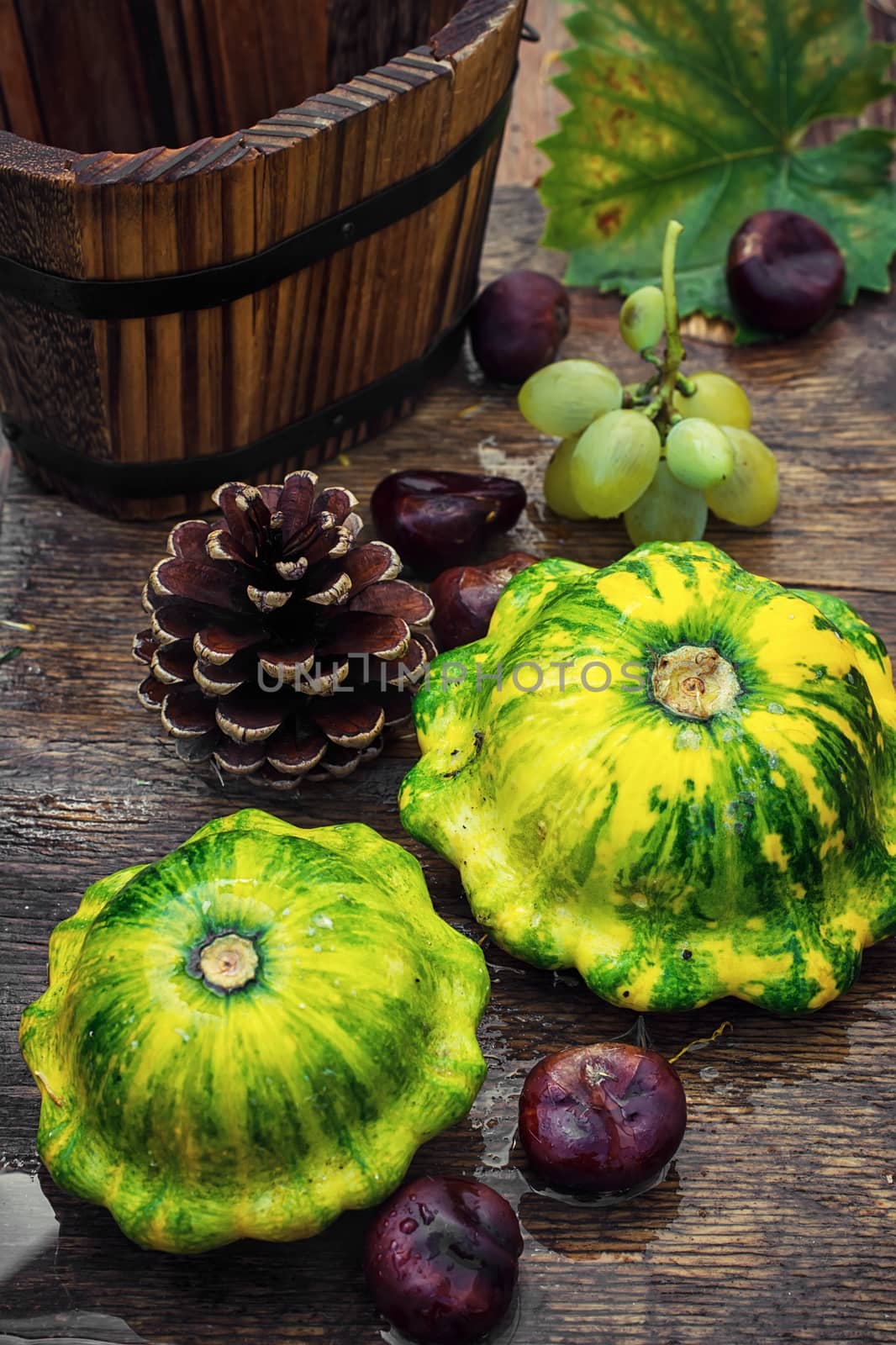 autumn harvest squash on the background of wooden tubs with cones strewn foliage.