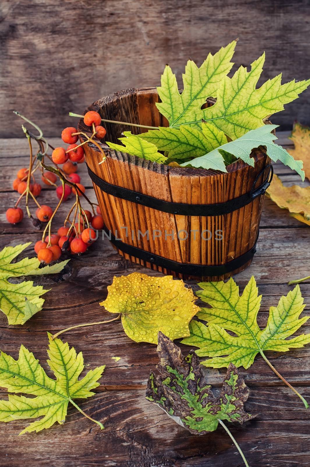 Wooden bucket with fallen autumn leaves on wooden background