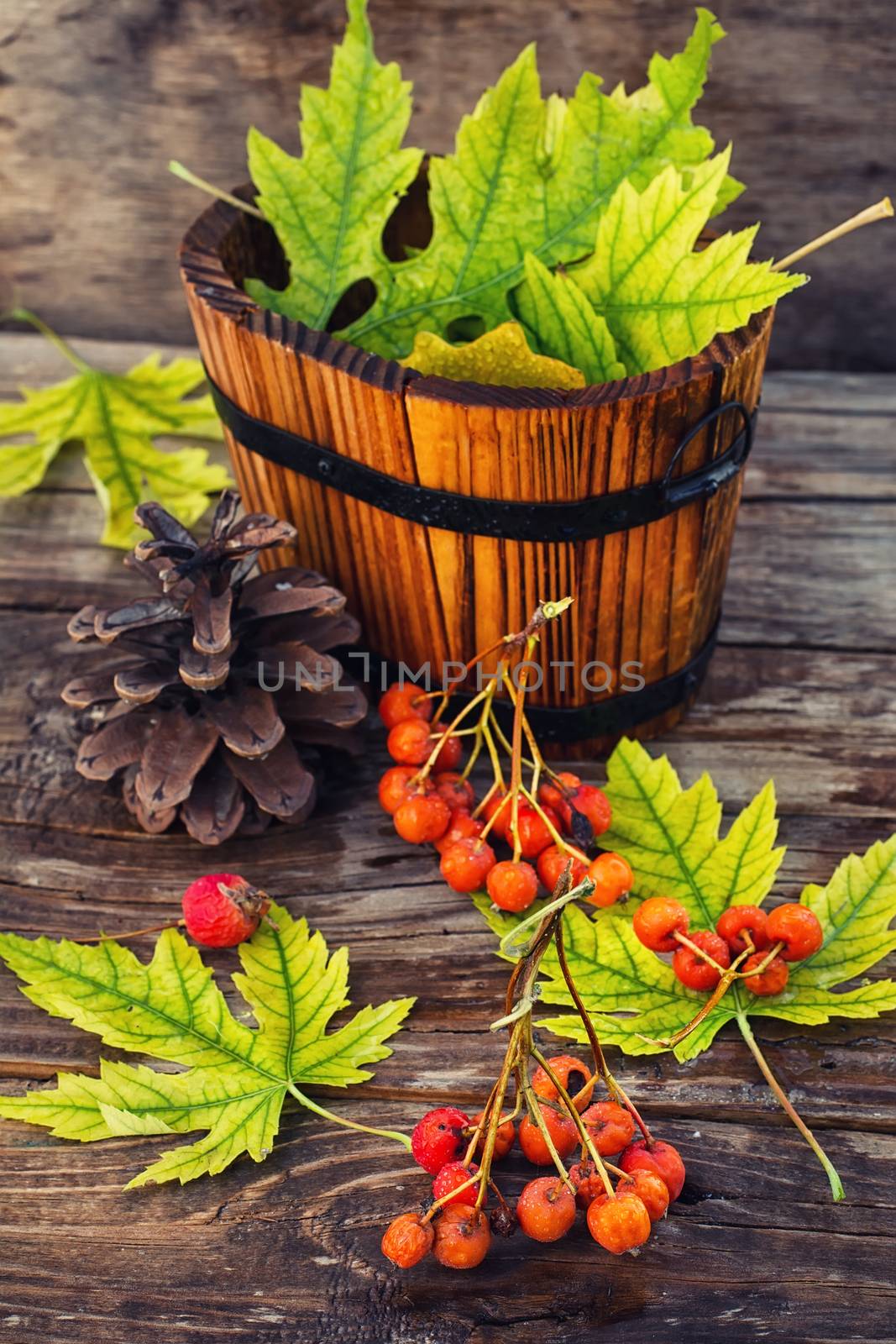 Wooden bucket with fallen autumn leaves on wooden background