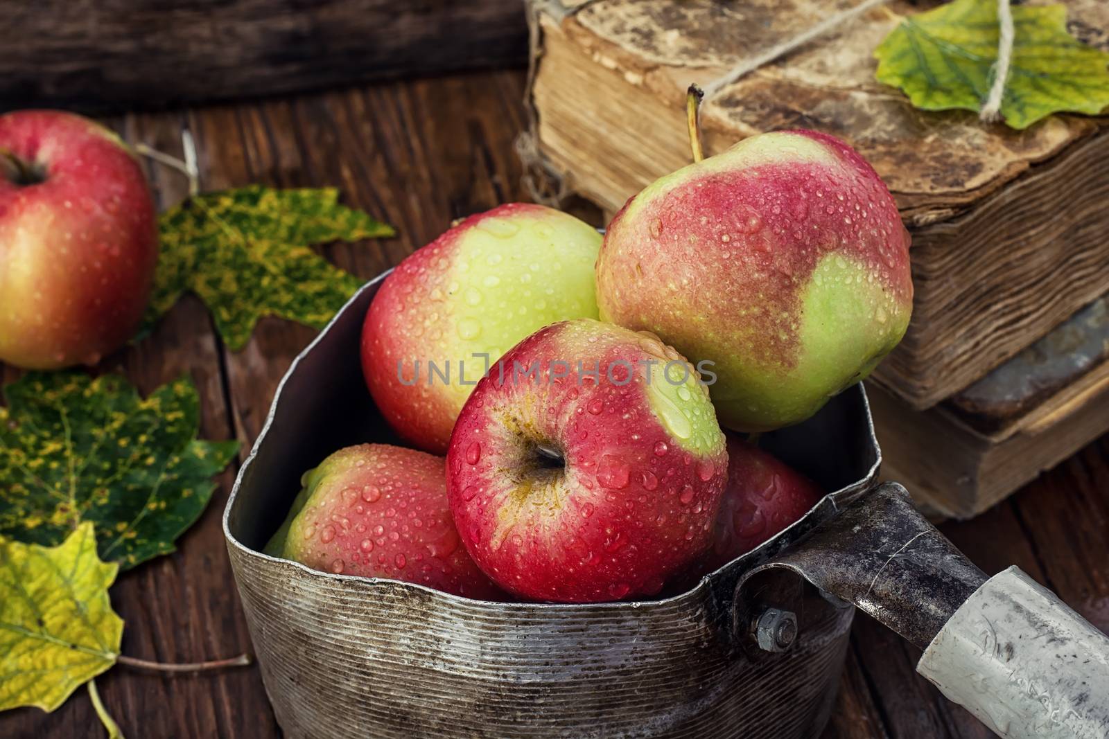 Apple harvest in stylish retro pot on the table with autumn leaves.