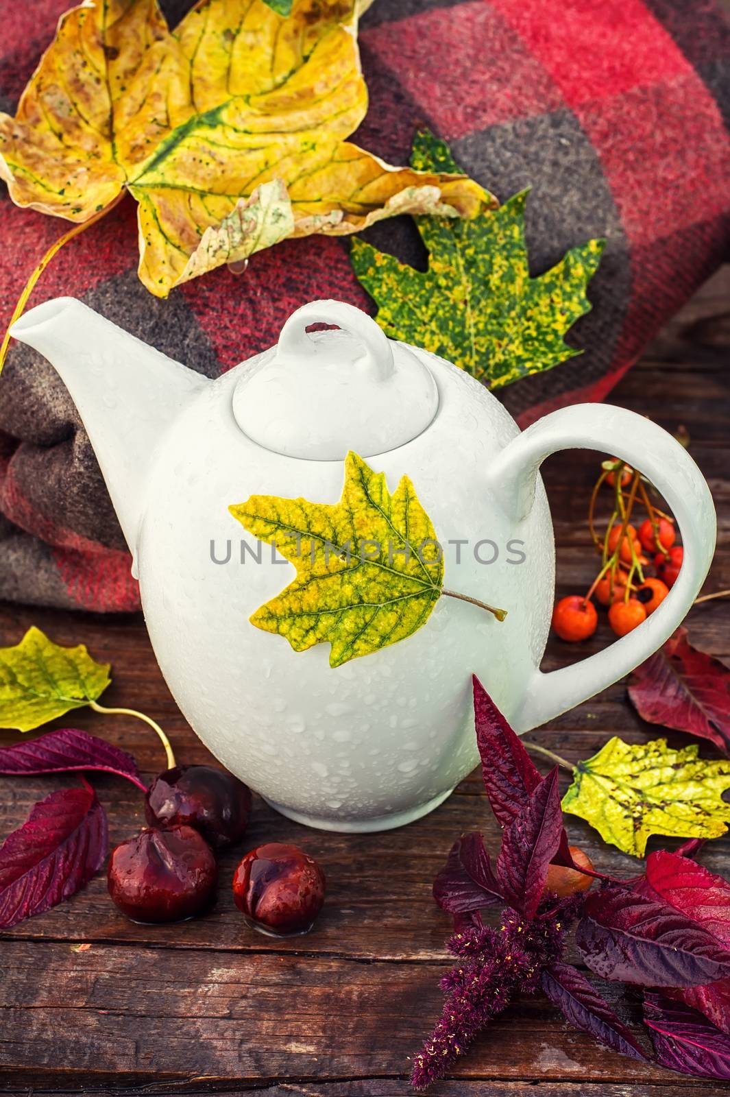 White teapot on background of warm blanket,strewn with autumn leaves