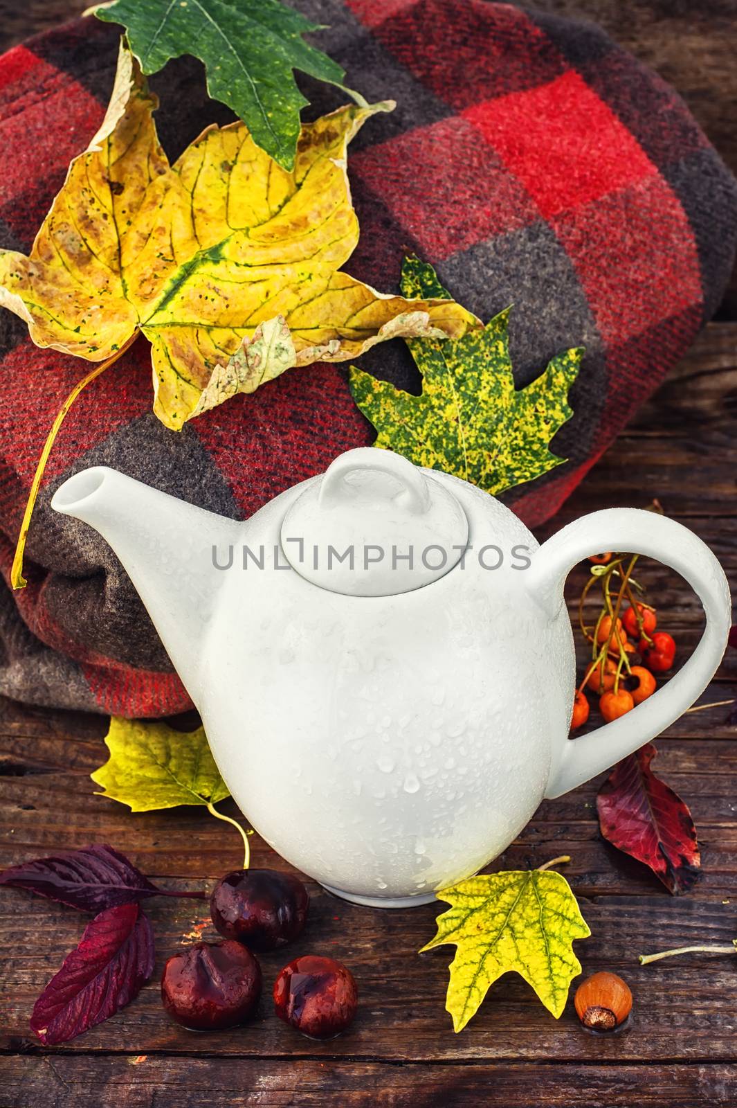 White teapot on background of warm blanket,strewn with autumn leaves