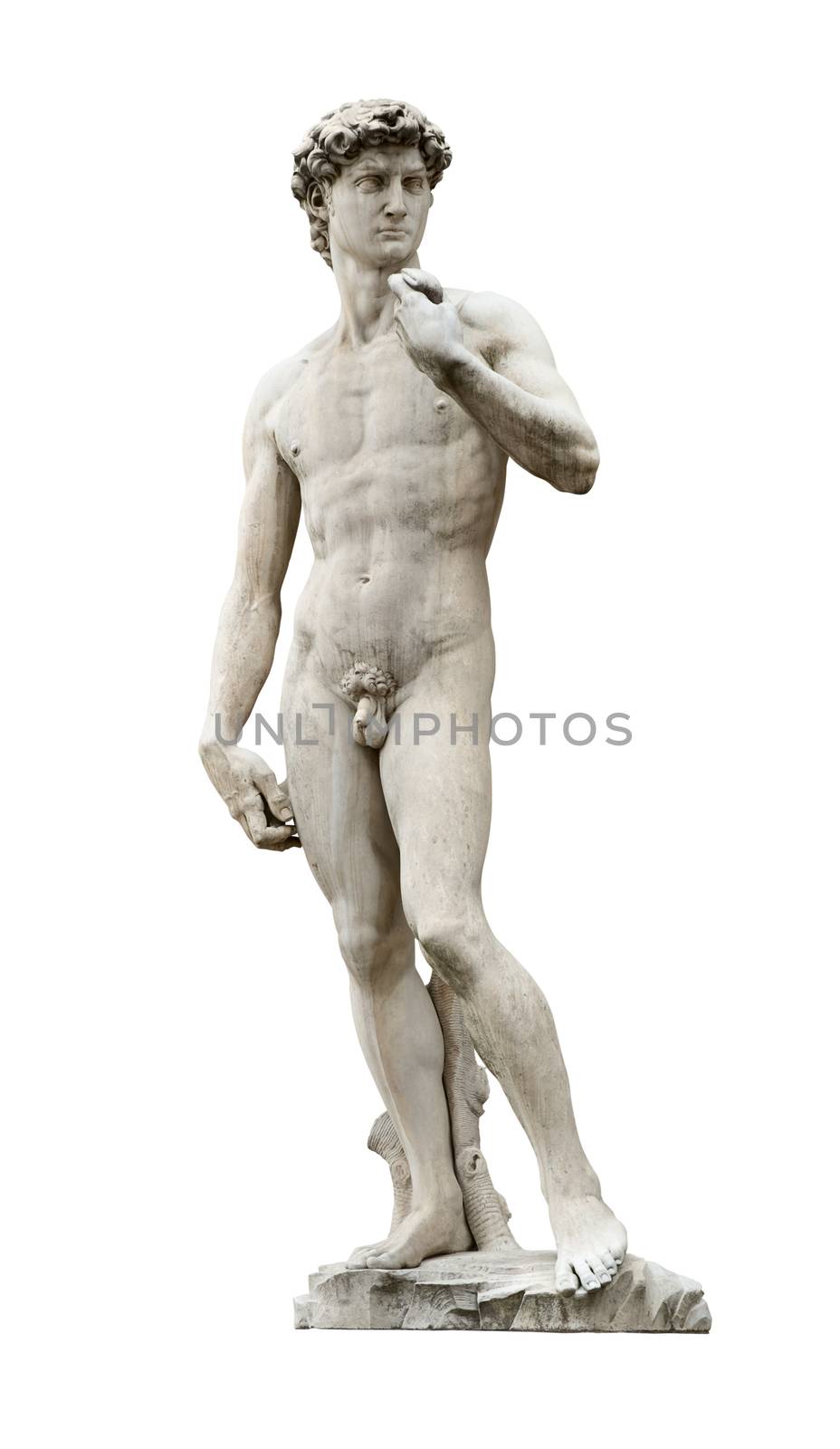 David statue by ancient sculptor Michelangelo isolated on white with clipping path. This replica replaced original in 1910 on Piazza Della Signoria nearby Palazzo Vecchio in Florence, Italy.