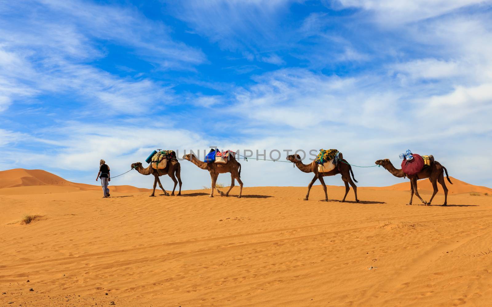camel caravan going through the desert by Mieszko9