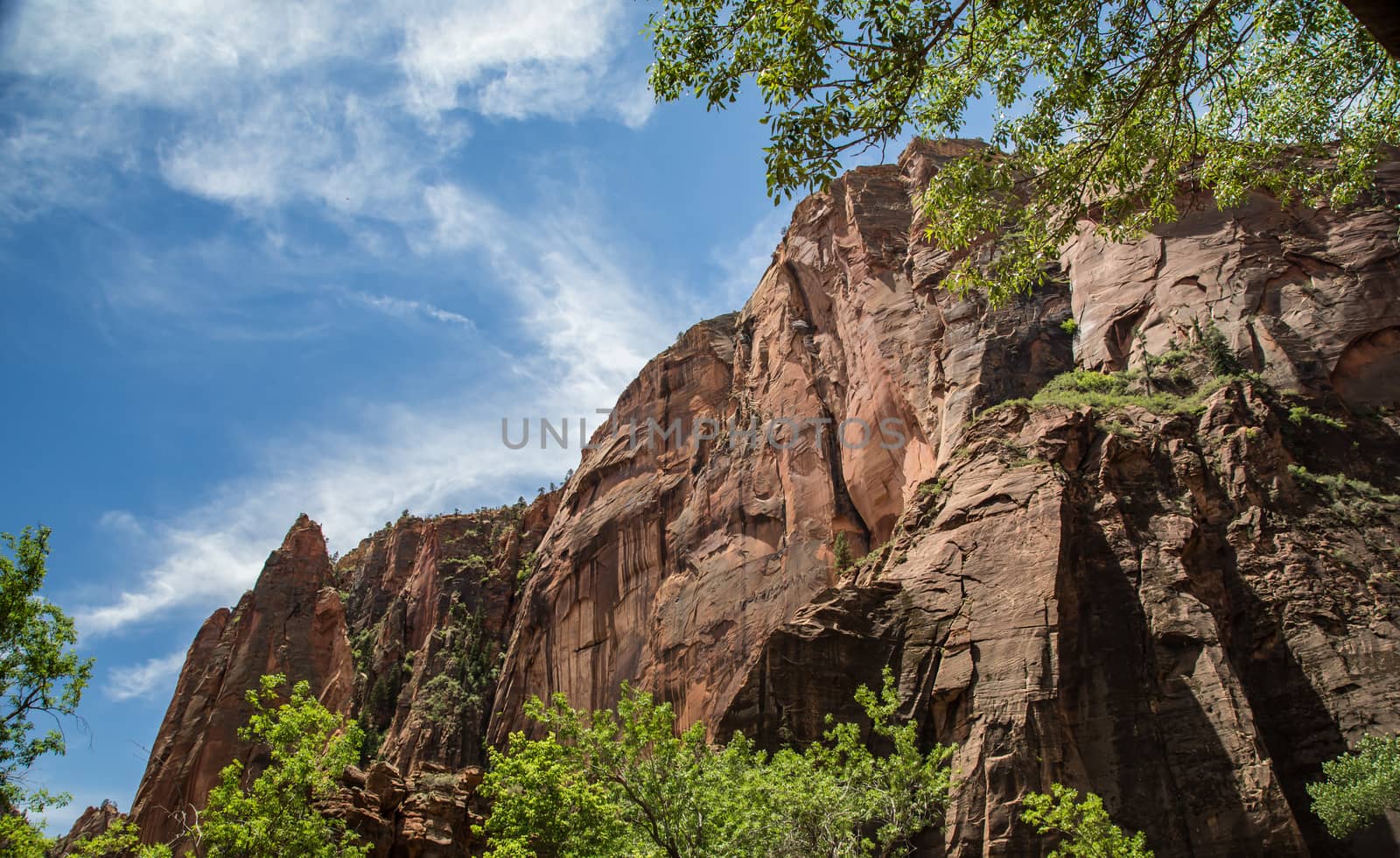 Cliffs of Zion by teacherdad48@yahoo.com
