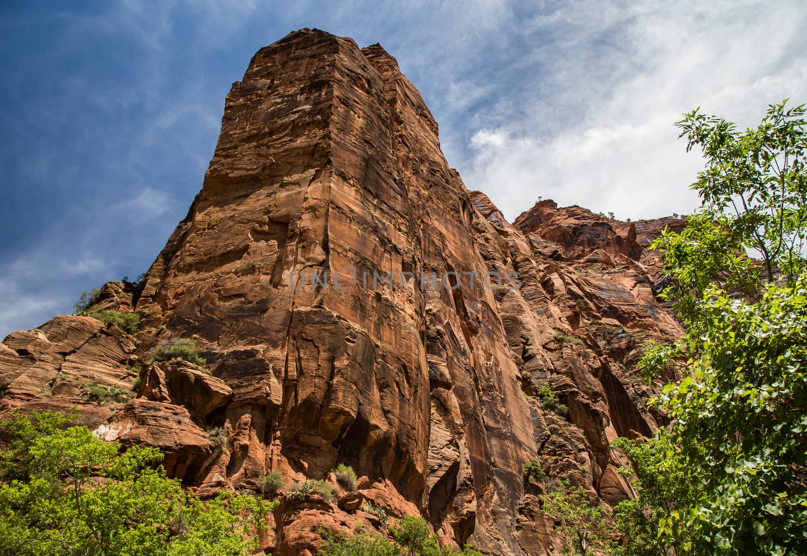 Zion Cliffs by teacherdad48@yahoo.com