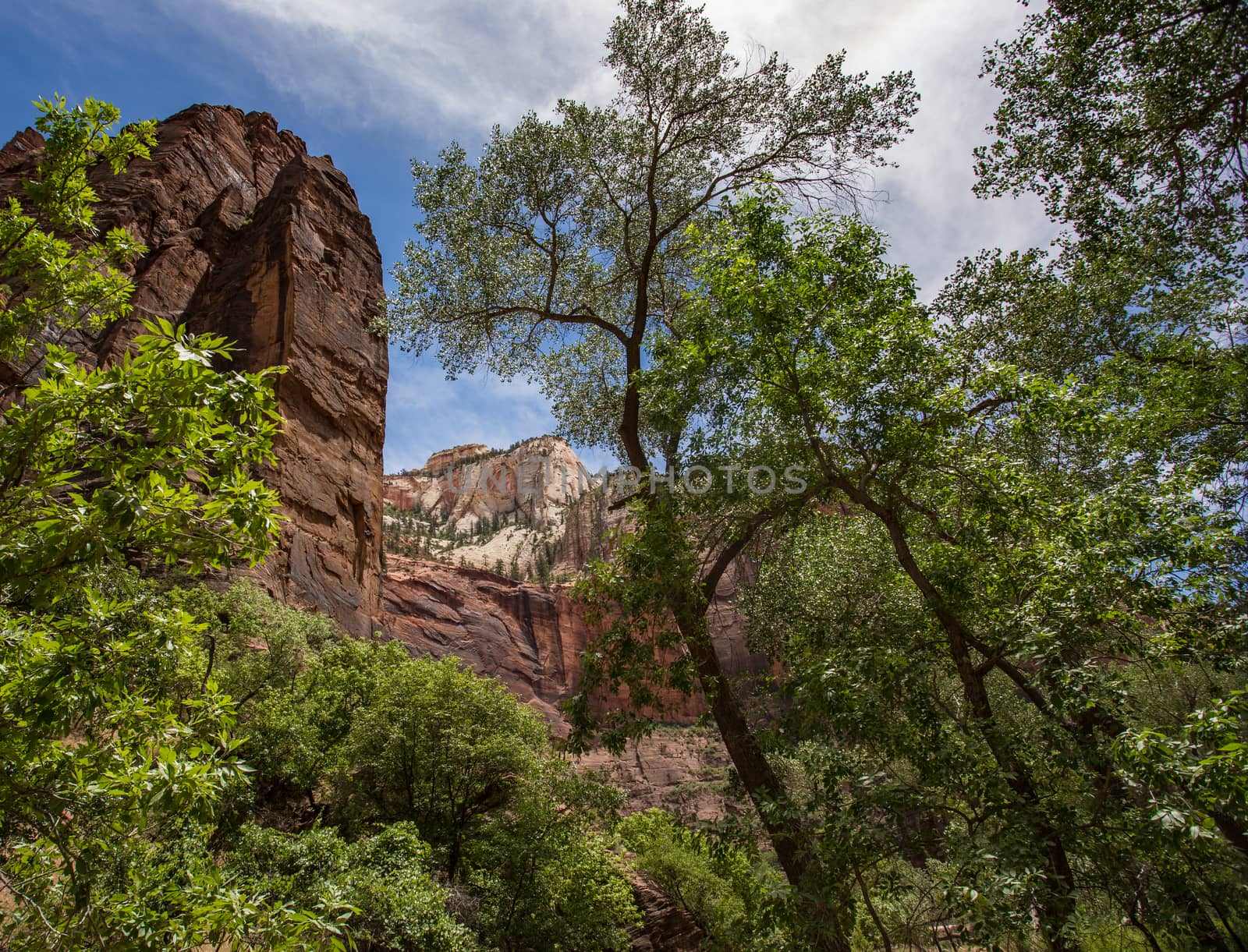 Zion National Park, Utah.