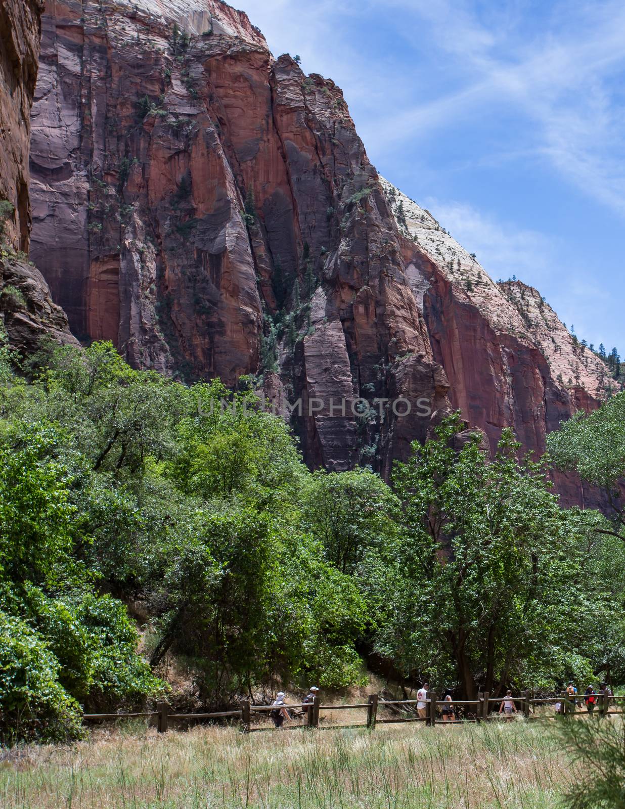 The Narrows trail in Zion National Park in Utah.