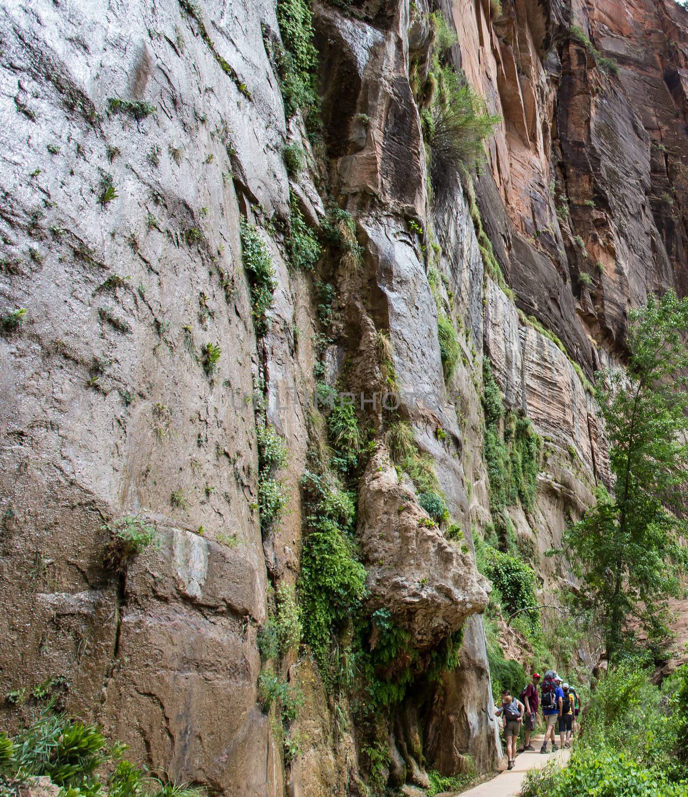 The Narrows trail in Zion National Park in Utah.