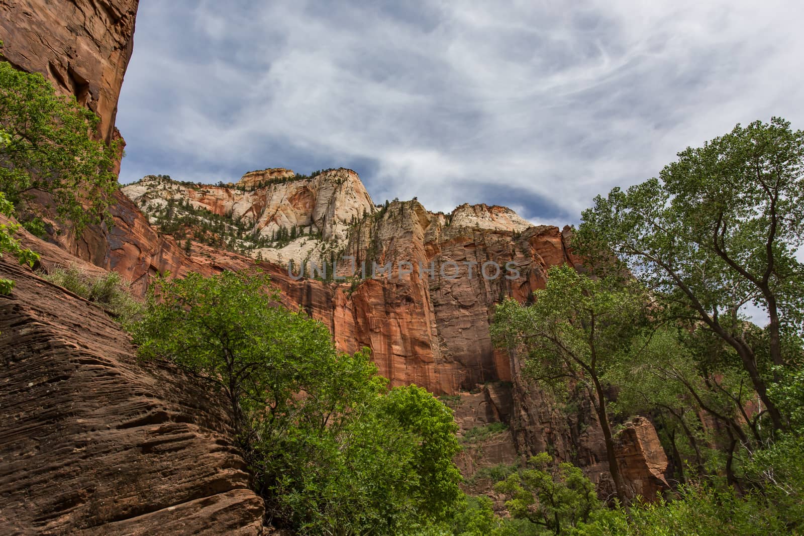 Zion National Park, Utah. A land filled with steep cliffs and forests.