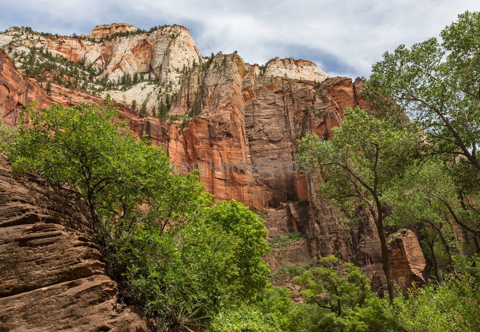 Zion National Park, Utah. A land filled with steep cliffs and forests.