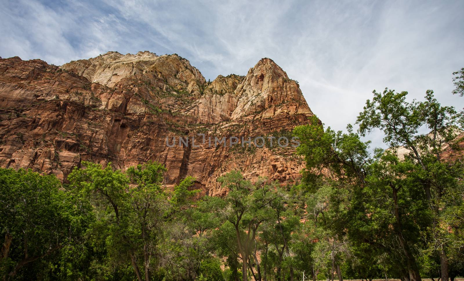 Zion National Park, Utah. A land filled with steep cliffs and forests.