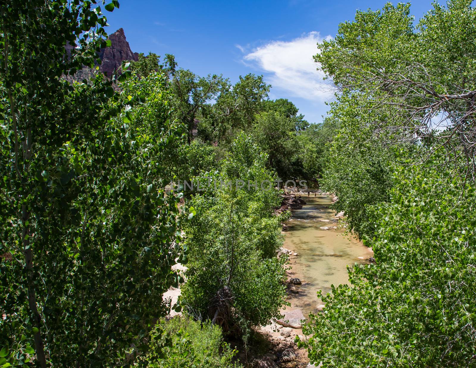 The Virgin River in Zion National Park, Utah.