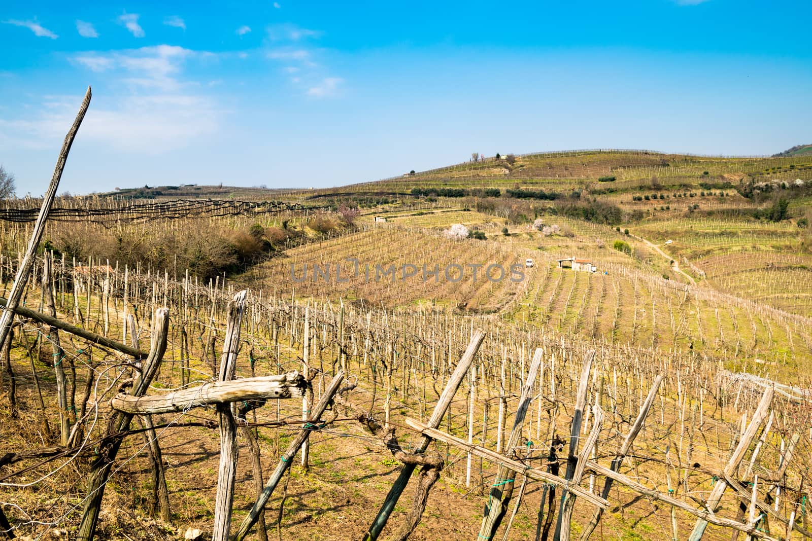 Vineyards and farmland on the hills in spring, Italy.