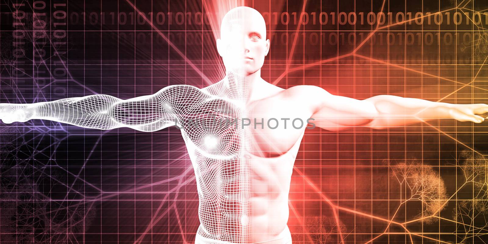 Bioengineering or Biological Engineering as a Concept