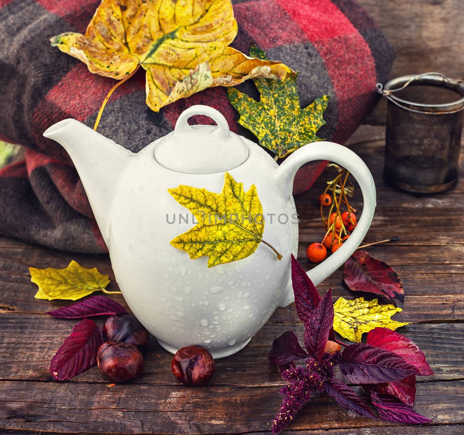 Autumn still life with kettle by LMykola