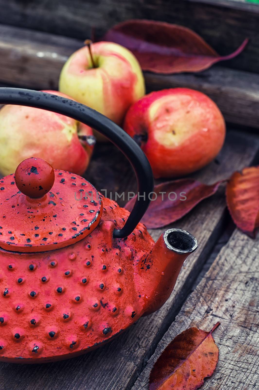 Red trendy retro teapot on  background of autumn harvest apples
