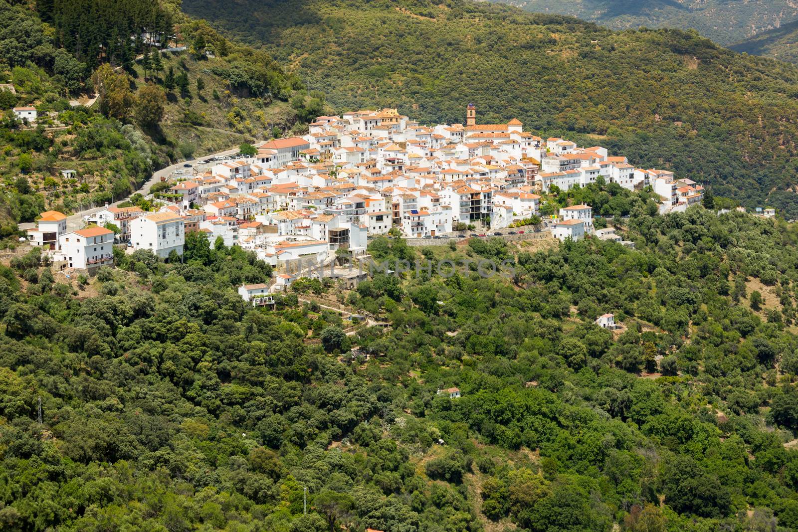 Andalusian village (Pueblos Blancos) in Sierra de las Nieves, Malaga, Spain